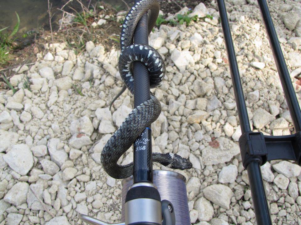 Funny fishing :) 2 - 531473440953089321400111332231n.jpg